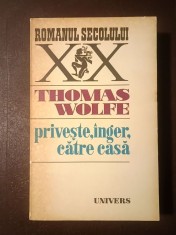 Thomas Wolfe - Privește, &icirc;nger, către casă (istorie a vieții &icirc;ngropate)