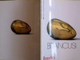 Constantin BRANCUSI - BeauxARTS, numer rar, 1995