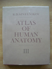 SINELNIKOV - ATLAS DE ANATOMIE UMANA (in limba ENGLEZA) - volumul 3 - 1990 foto