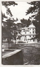 bnk cp Slanic Moldova - Vedere - circulata
