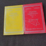 Doina Frunzescu - Culegere probleme de fizica, clasele VI-VIII (2 volume)V
