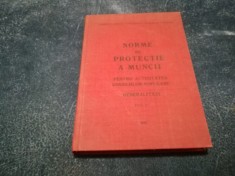 NORME DE PROTECTIE A MUNCII PENTRU ACTIVITATEA CONSILILOR POPULARE VOL I