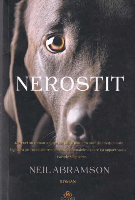 Neil Abramson - Nerostit
