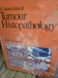 A Colour Atlas of Tumour Histopathology - N. F. C. Gowing
