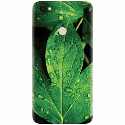 Husa silicon pentru Xiaomi Redmi Note 5A, Leaves And Dew foto