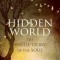 Hidden World: The Inside Story of the Soul