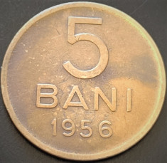 Moneda 5 BANI - ROMANIA, anul 1956 *cod 884 B foto