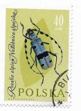 Polonia - Insecte, 1961 - 40 Gr, obliterat