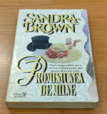 Sandra Brown - Promisiunea de m&acirc;ine