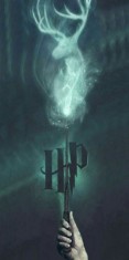 Husa Personalizata XIAOMI Mi 9T \ Mi 9T Pro \ K20 \ K20 Pro Harry Potter Power