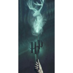 Husa Personalizata XIAOMI Pocophone F1 Harry Potter Power