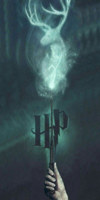 Husa Personalizata SAMSUNG Galaxy J2 Core Harry Potter Power foto