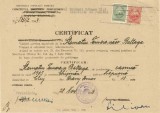 A4267N Certificat de cetățenie rom&acirc;nă pentru o rom&acirc;ncă basarabeancă din Chișinău dat la Cluj, 1949