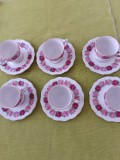 Portelan Bareuther Bavaria, frumos serviciu de cafea