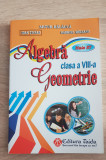 Algebră. Geometrie, clasa a VIII-a - Artur Bălăucă, Ioan Țigalo, Clasa 8, Matematica, Auxiliare scolare