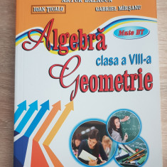 Algebră. Geometrie, clasa a VIII-a - Artur Bălăucă, Ioan Țigalo