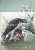 Strategia Succesului Profesional - Liviu Hostiuc, Editia a V-a, Politehnium Iasi, Sociologie, 384 pagini