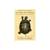 Of Time and Turtles: Mending the World, Shell by Shattered Shell