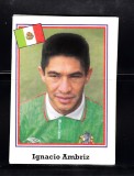 B10 - Sticker fotbal - Campionatul mondial USA - 1994 - nr 345