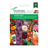 Seminte flori Agrosel, mix pentru stancarii