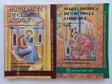 MARTURISIREA DE CREDINTA LITERARA. SCRISUL CA RELIGIE LA ROMANI- ARTUR SILVESTRI
