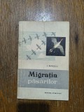 Migratia pasarilor - L. Rudescu, vanatoare / R2P4S
