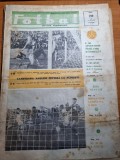 Fotbal 13 octombrie 1966-petrolul-liverpool 3-1,dinamo pitesti s-a califcat