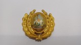 Emblema coifura/Insigna/Cuc cascheta-OFITER-RSR