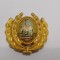 Emblema coifura/Insigna/Cuc cascheta-OFITER-RSR