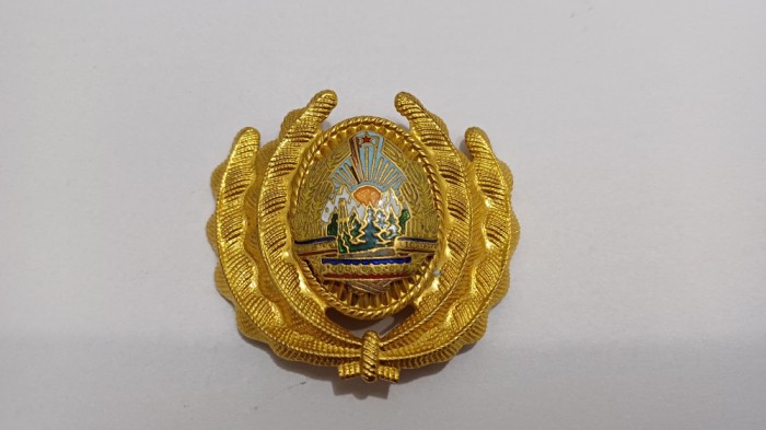 Emblema coifura/Insigna/Cuc cascheta-OFITER-RSR