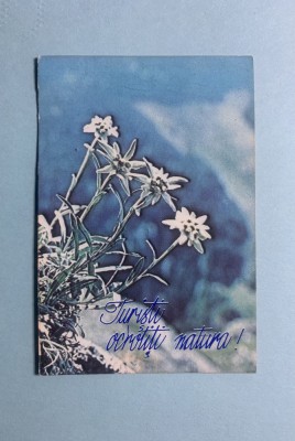 Calendar 1986 floare de colț foto