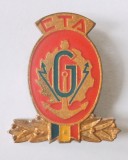 INSIGNA CTA GENIU 31/28 MM CENTRU TEHNICO APLICATIV EMAIL RECE ( CITITI DESCRIEREA )