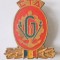 INSIGNA CTA GENIU 31/28 MM CENTRU TEHNICO APLICATIV EMAIL RECE ( CITITI DESCRIEREA )