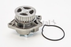 CONTINENTAL CTAM WP6004 Pompă de apă, răcire motor