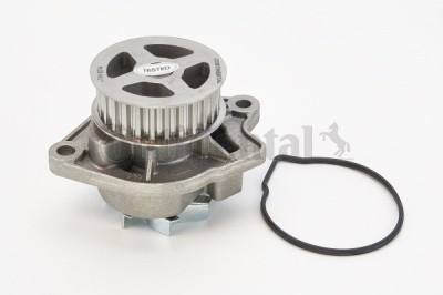 CONTINENTAL CTAM WP6004 Pompă de apă, răcire motor foto