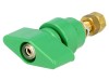 Clema Laborator SCH&Uuml;TZINGER POL 102 / GN Verde 1kVDC 100A Montare Panou Policarbonat Alama