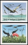 ANTIGUA 1990 FAUNA PASARI, Nestampilat