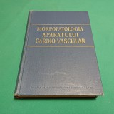 MORFOLOGIA APARATULUI CARDIO-VASCULAR / EMIL C CRĂCIUN /1959 * E