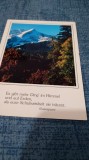 CARTE POSTALA -FELICITARE NECIRCULATA