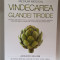 Vindecarea glandei tiroide - Anthony William