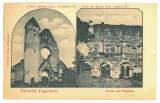 3982 - FAGARAS, Brasov, Ruinele Cetatii, Litho Romania - old postcard - unused, Necirculata, Printata