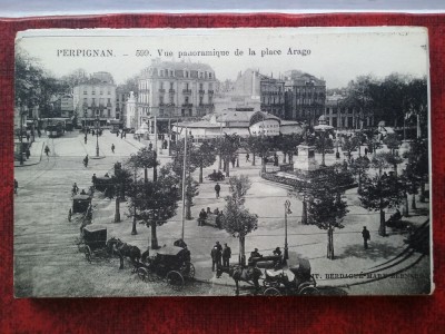 C.P.necirc. foto