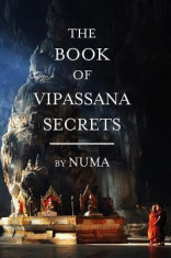 The Book of Vipassana Secrets foto