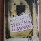 Max Blecher - Vizuina luminata