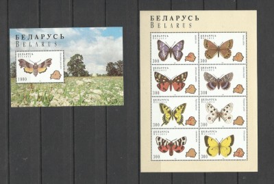 BELARUS 1996 FAUNA INSECTE FLUTURI foto