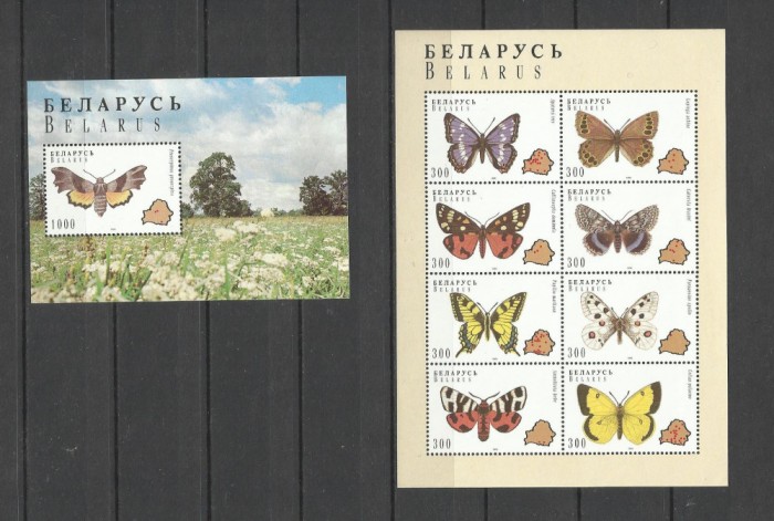 BELARUS 1996 FAUNA INSECTE FLUTURI