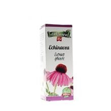 Extract Gliceric Echinacea Adserv 50ml Cod: 25699 foto