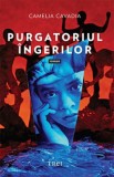 Purgatoriul ingerilor - Camelia Cavadia