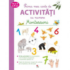 Prima mea carte de activitati cu numere de la 3 la 6 ani. Montessori.