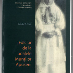 Folclor de la poalele Muntilor Apuseni - Centrul Cultural Judetean Arad, 2008